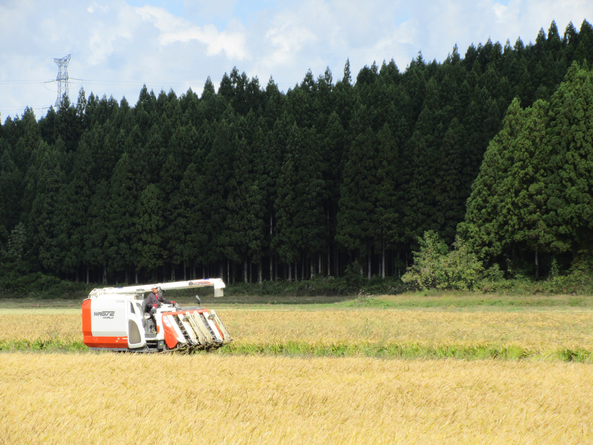 エモいとは…？