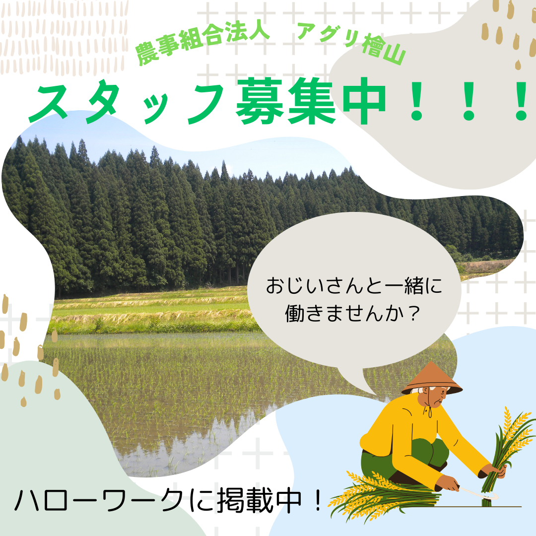 スタッフ募集中！！！