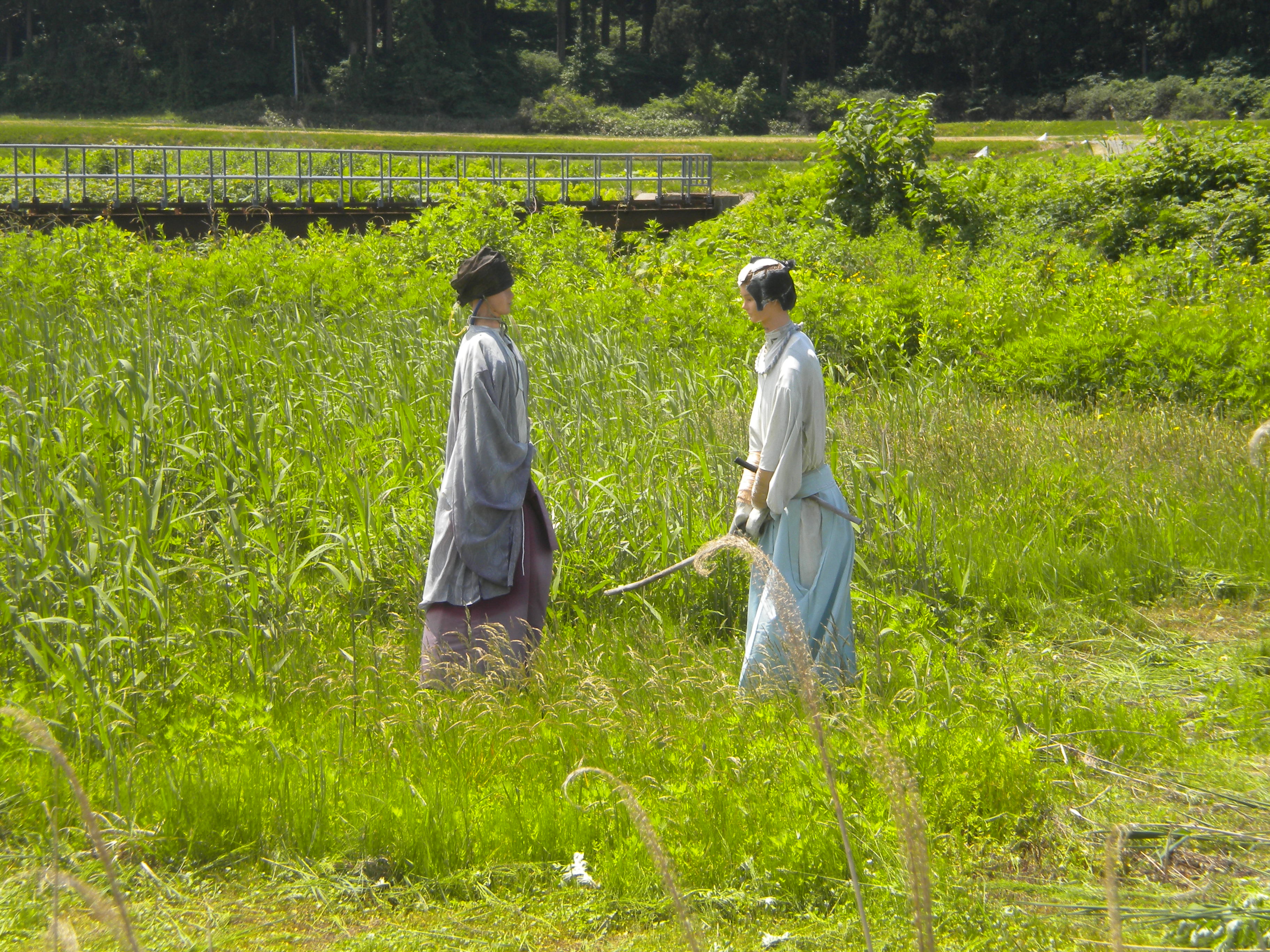 檜山の案山子？