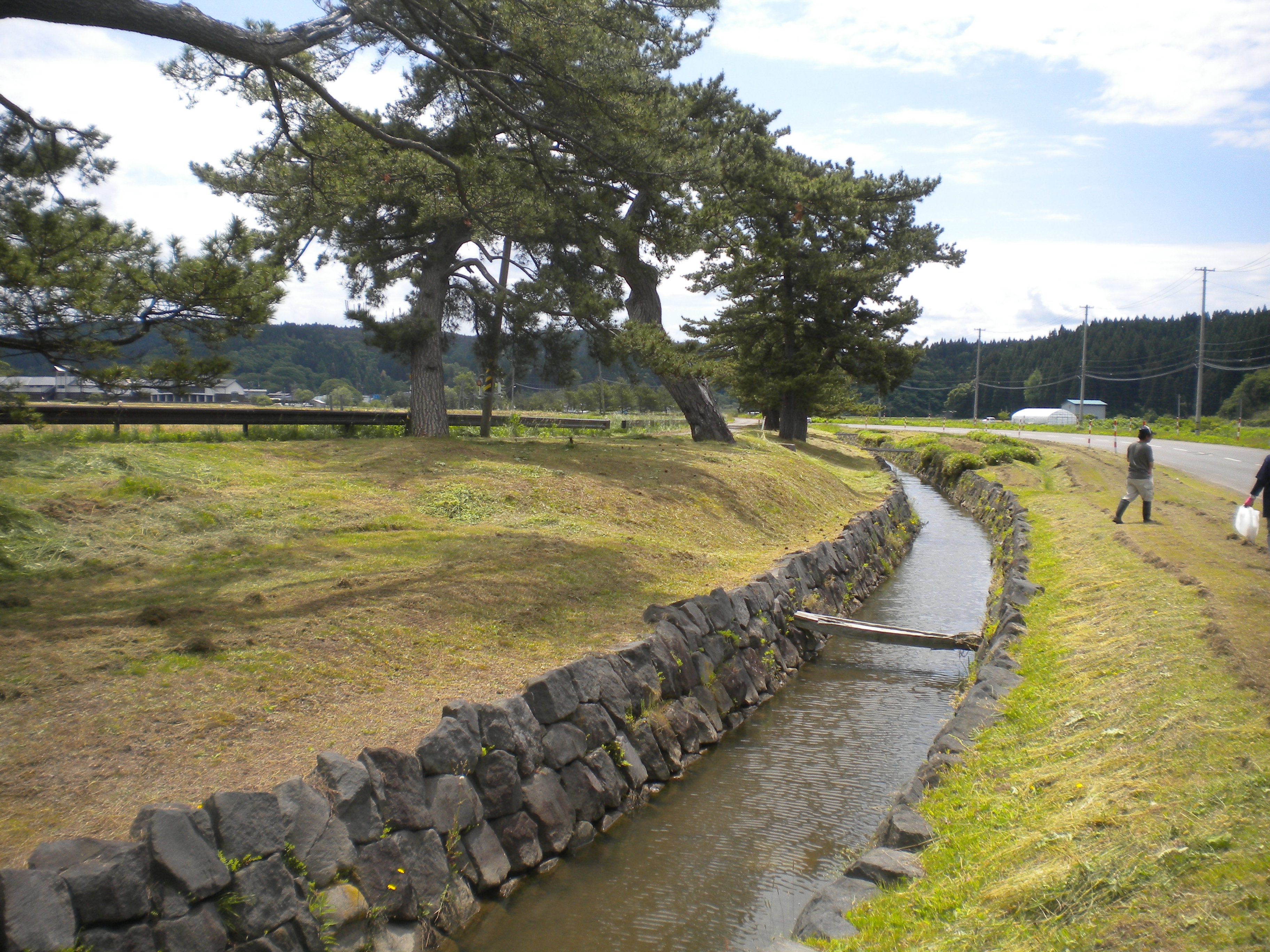 能代の北羽新報にて