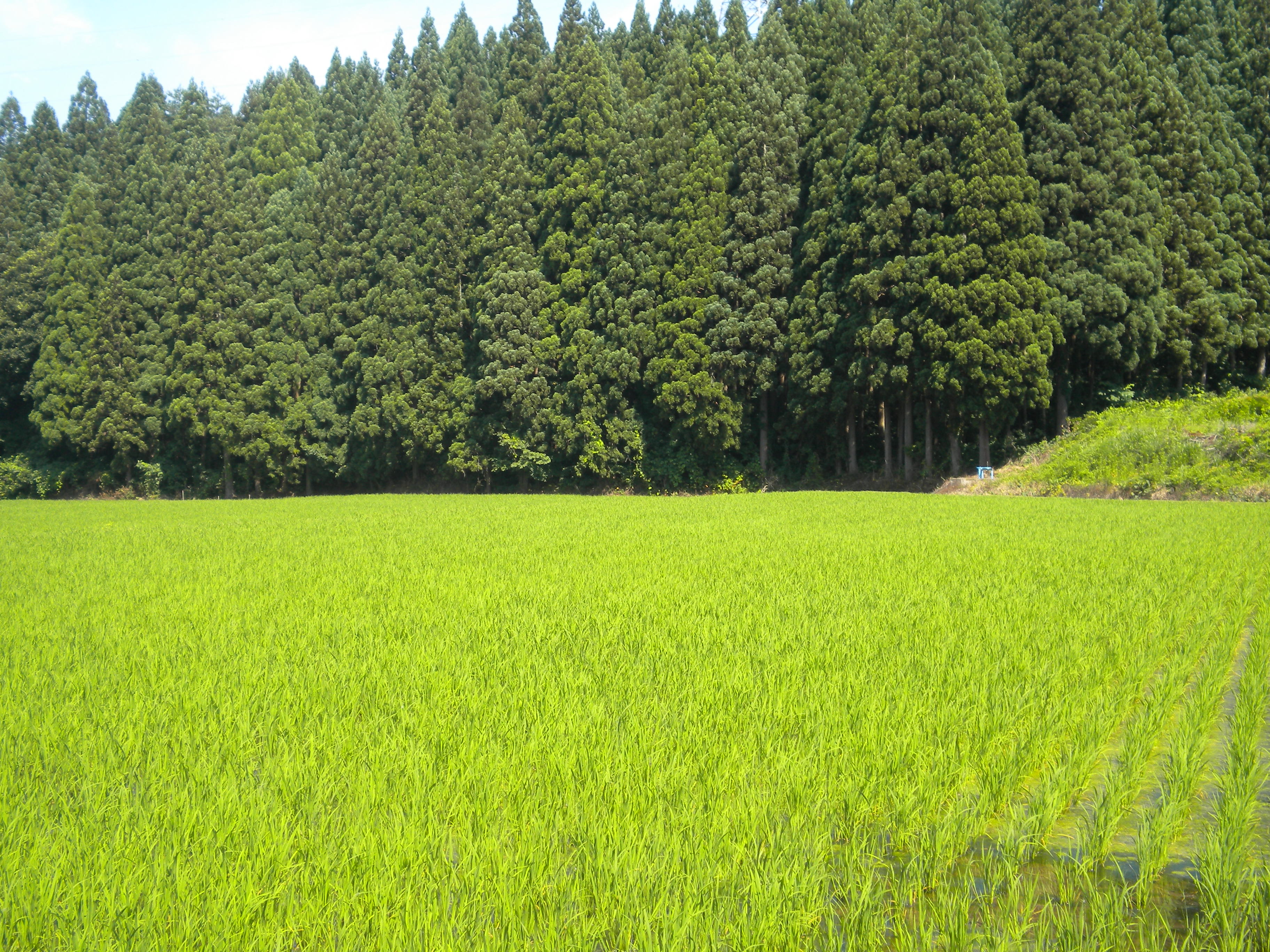 今日も今日とて…