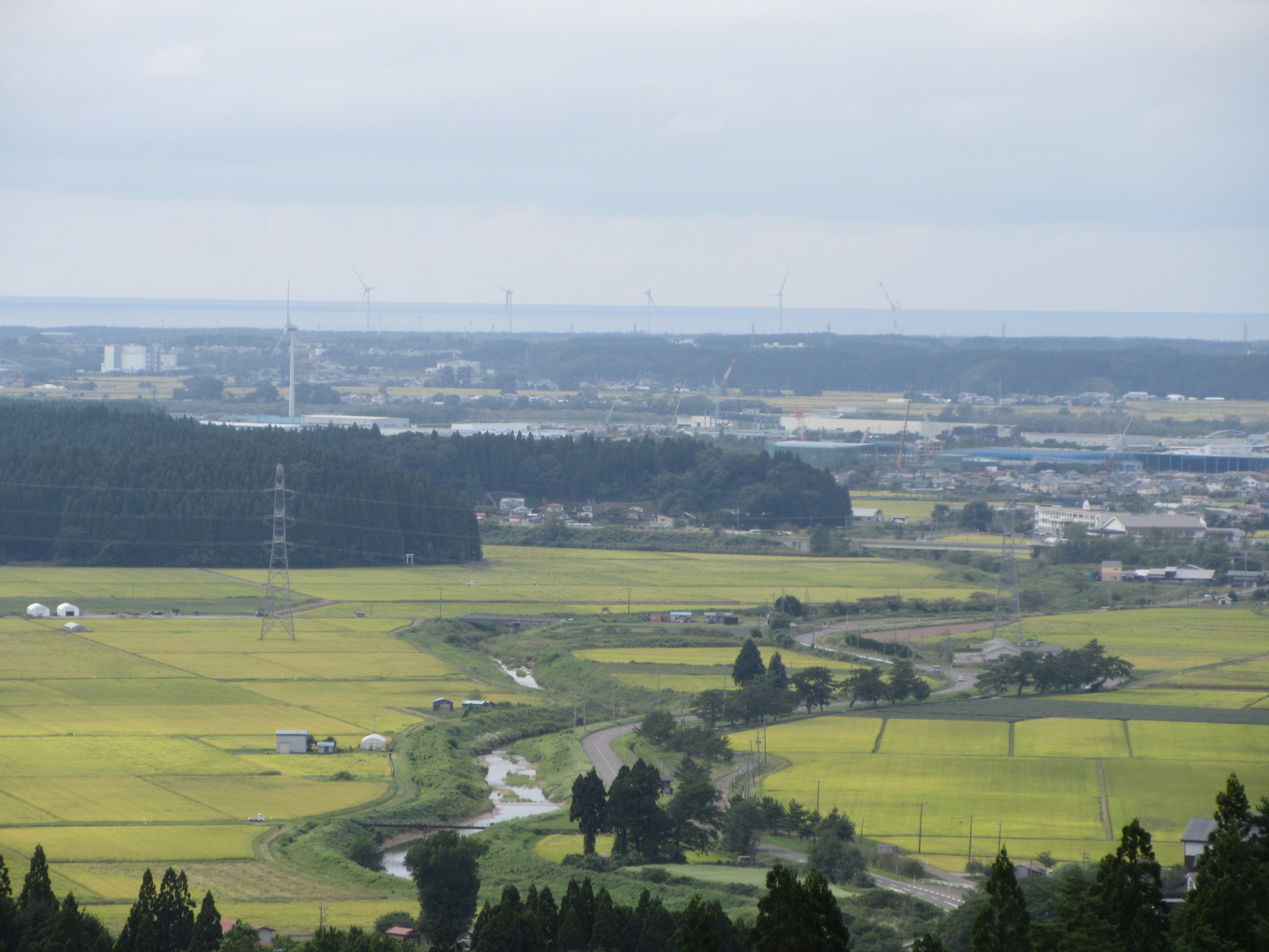 もう…冬ですか…？