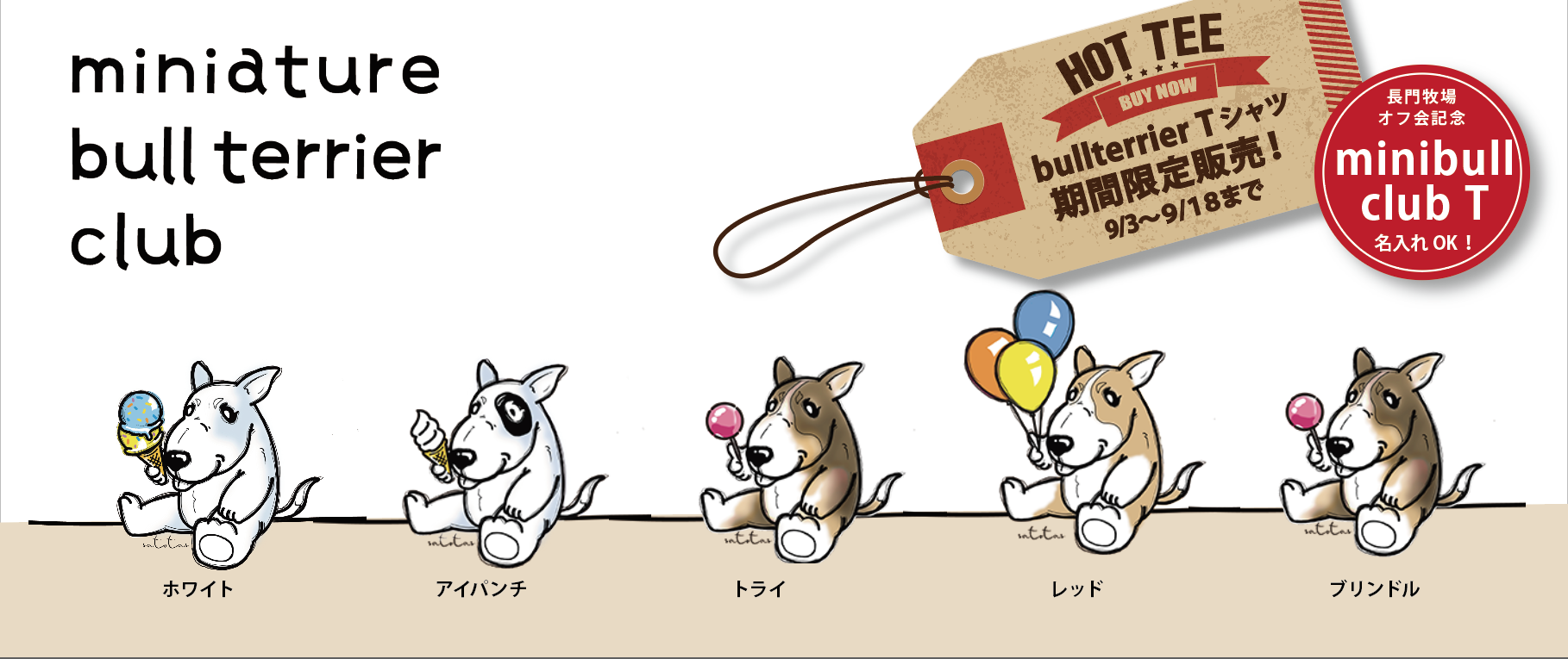 うちの子の名前が入れられる！mini bull club Tシャツでました！
