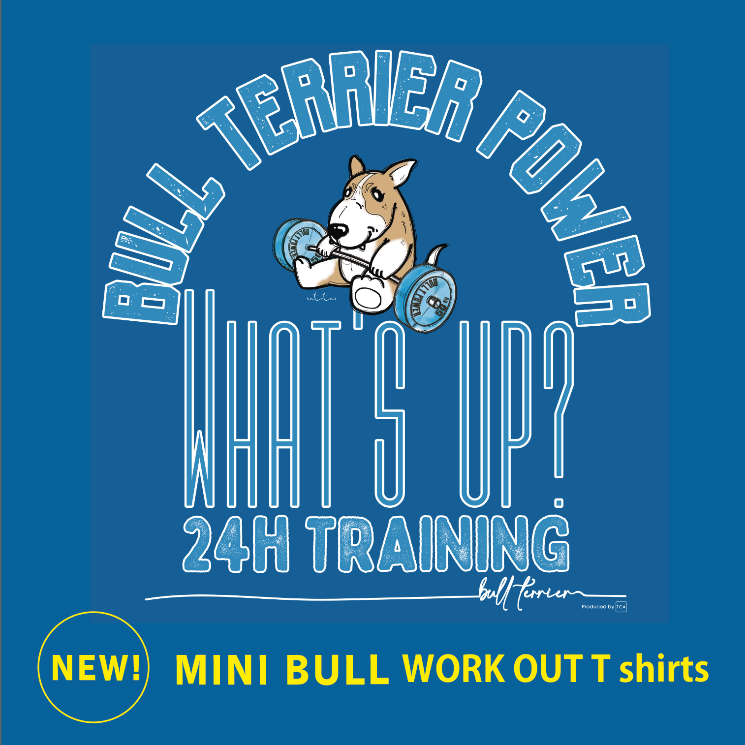 おすすめ商品のご紹介！BULL TERRIER What's Up Tシャツ＜ワークアウト＞