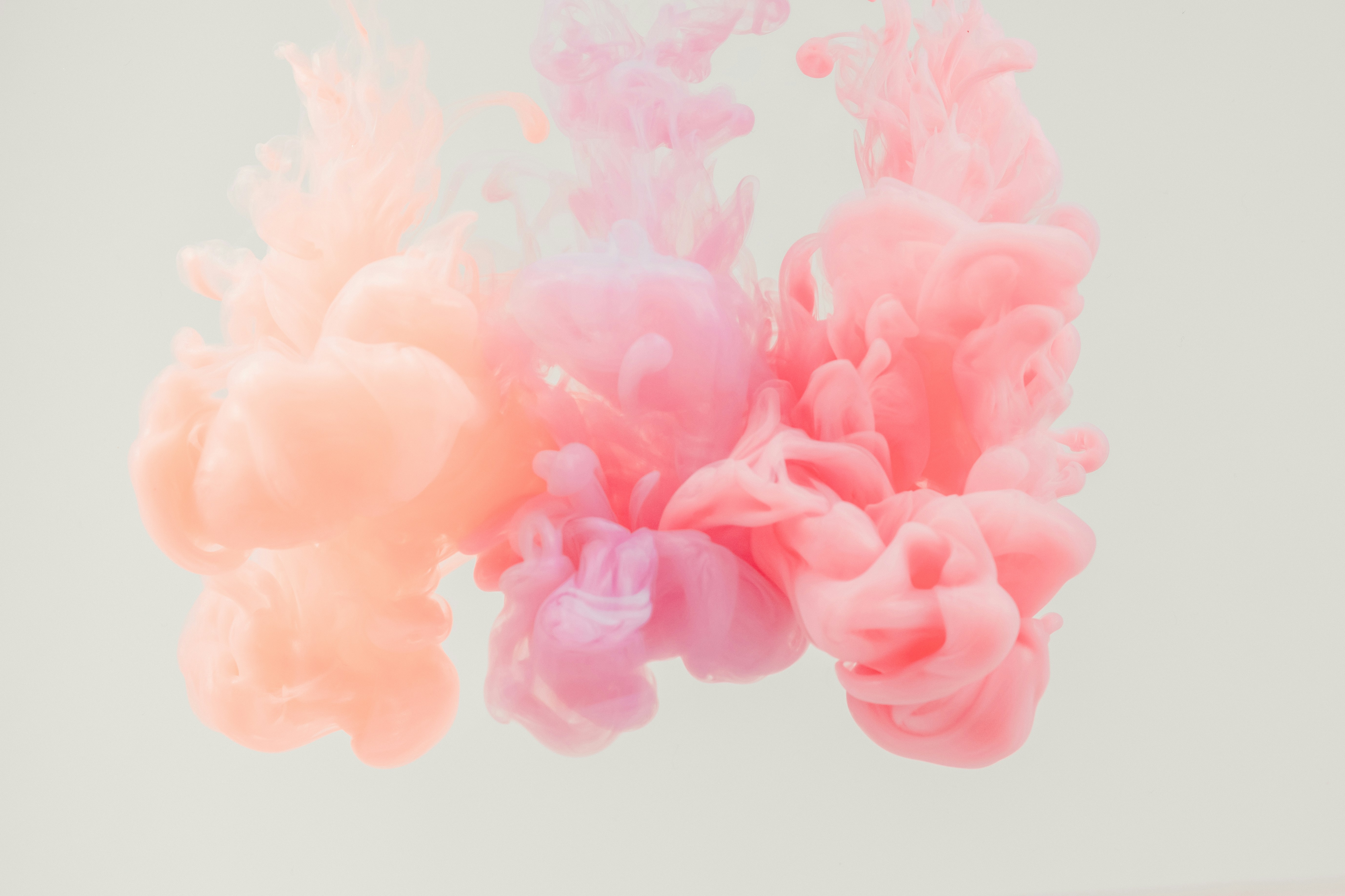 トップジェルの基本｜塗り方・硬化・選び方を分かりやすく解説