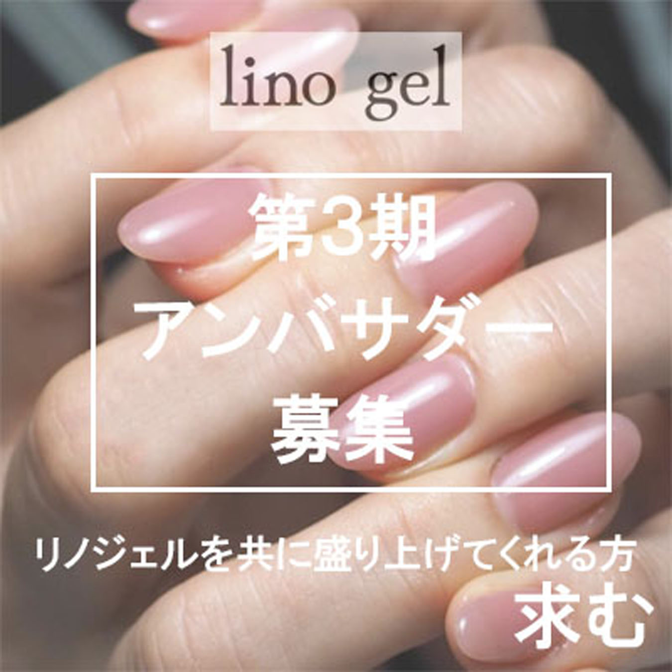 この度、第三期アンバサダー👑を募集致します✨