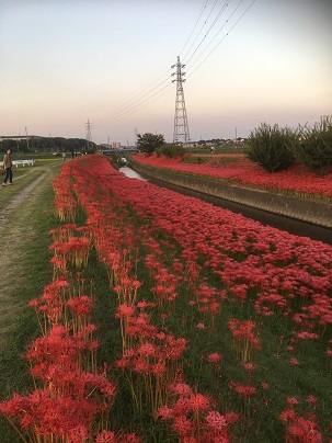 お彼岸