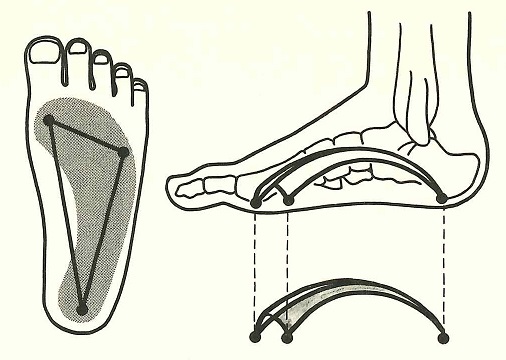 原点回帰。足について考えてみました
