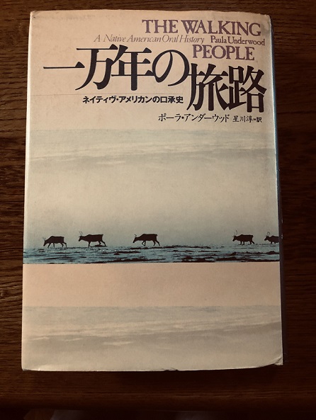 サステイナビリティと革