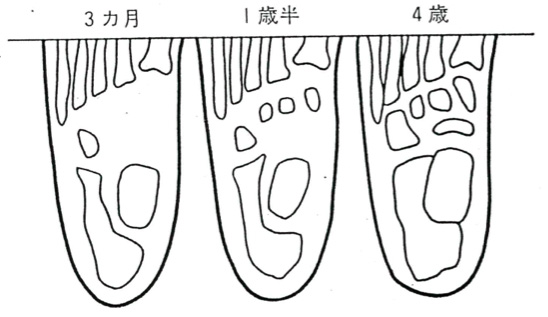 足、靴は優先順位が低い。なぜ？
