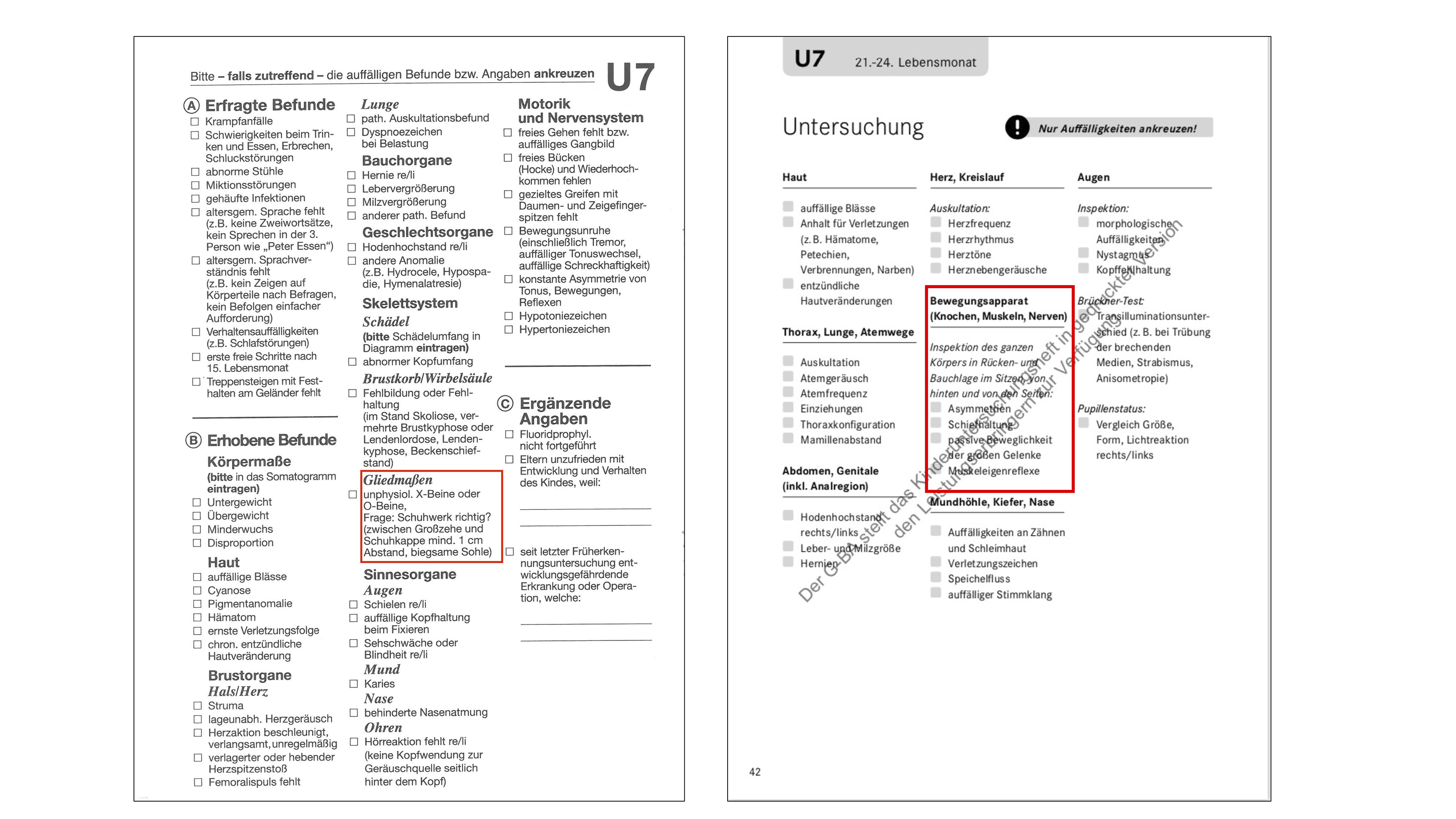ドイツの子ども検診手帳“黃色手帳”のこと　その二