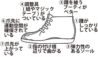 「良い靴とは」の知識を、知恵に変える