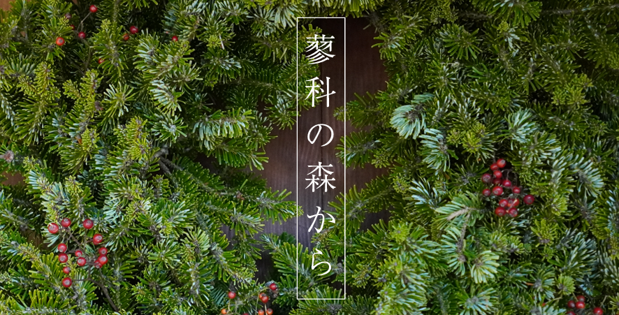 「蓼科の森から」展のご報告　2022年冬