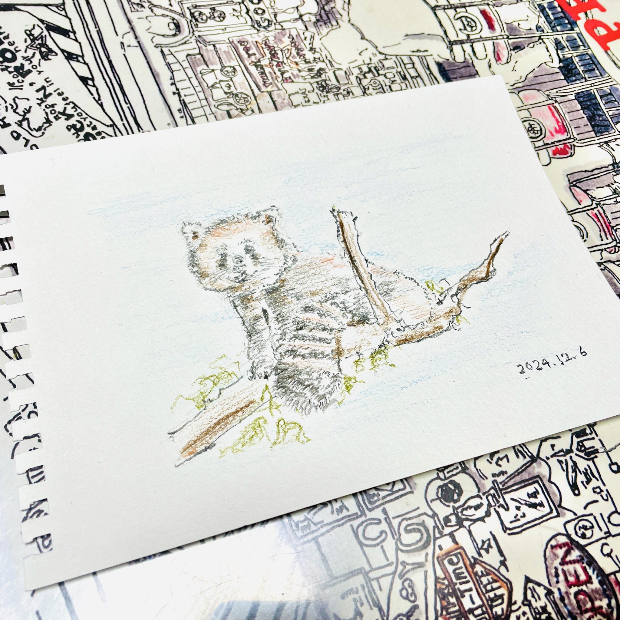 【プレゼント】生徒さまの好きな”アライグマ”の絵を描いてプレゼント✏