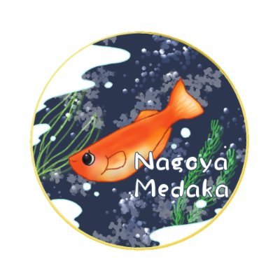 ブログはじめます🤭🎶🌟