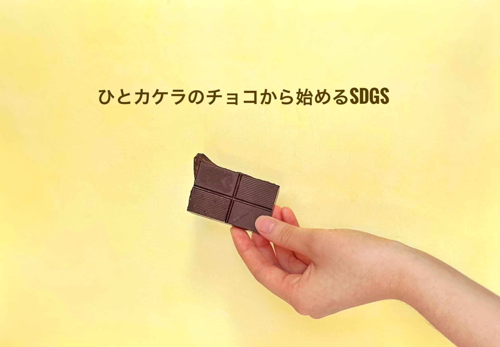 🍫チョコレート新発売!