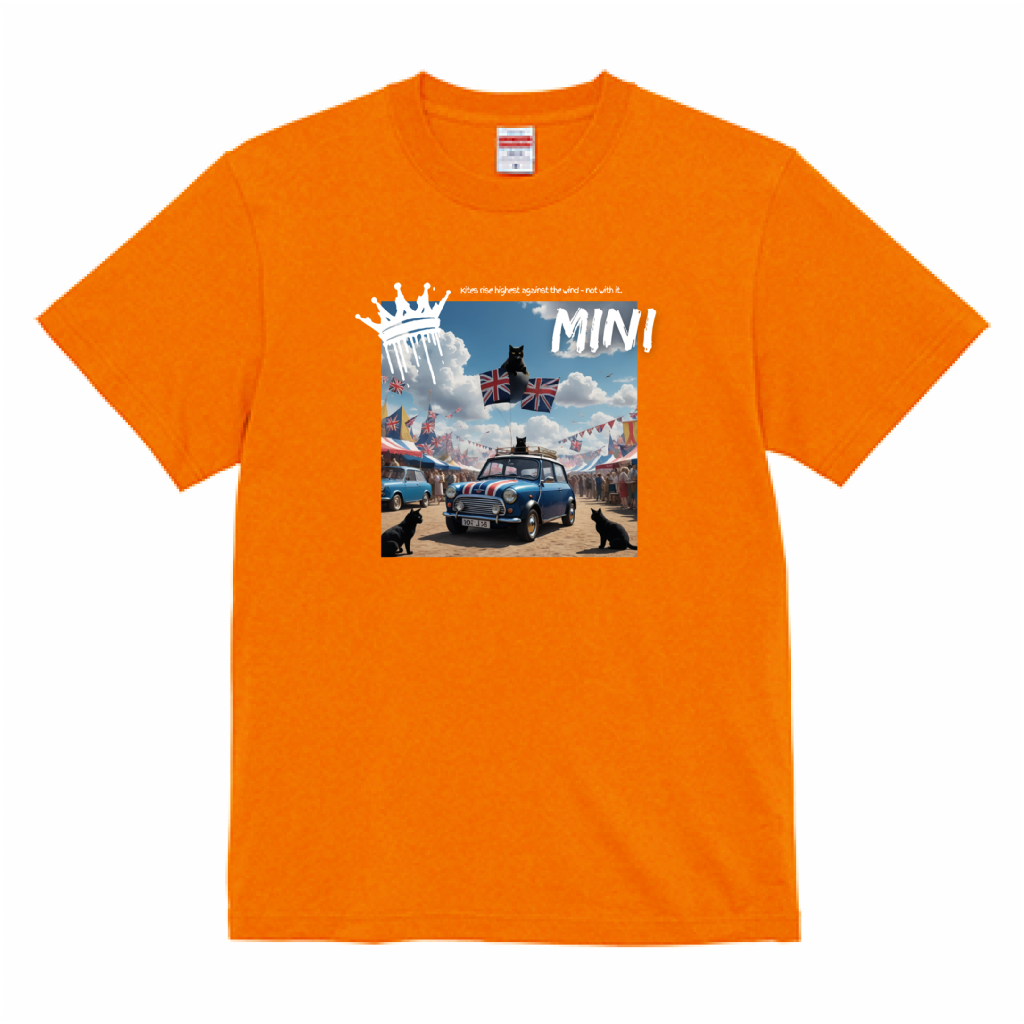コットンツイルローキャップとカラフルなボディーカラーのTシャツをUPしました！