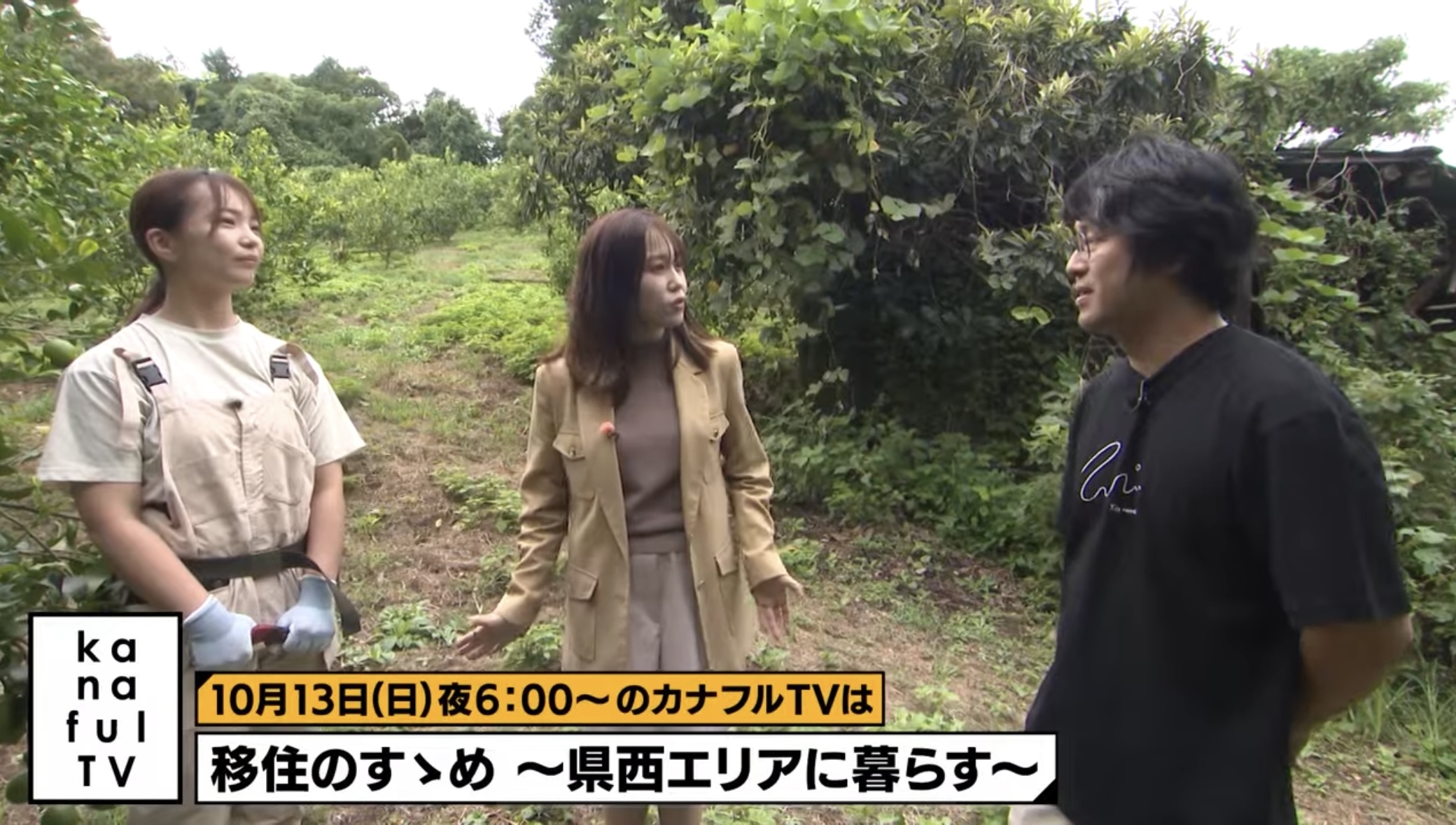 テレビ神奈川 カナフルTV 出演!