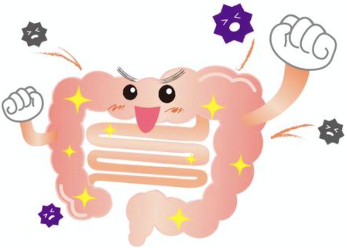 「B」から「A」へ腸内環境が改善