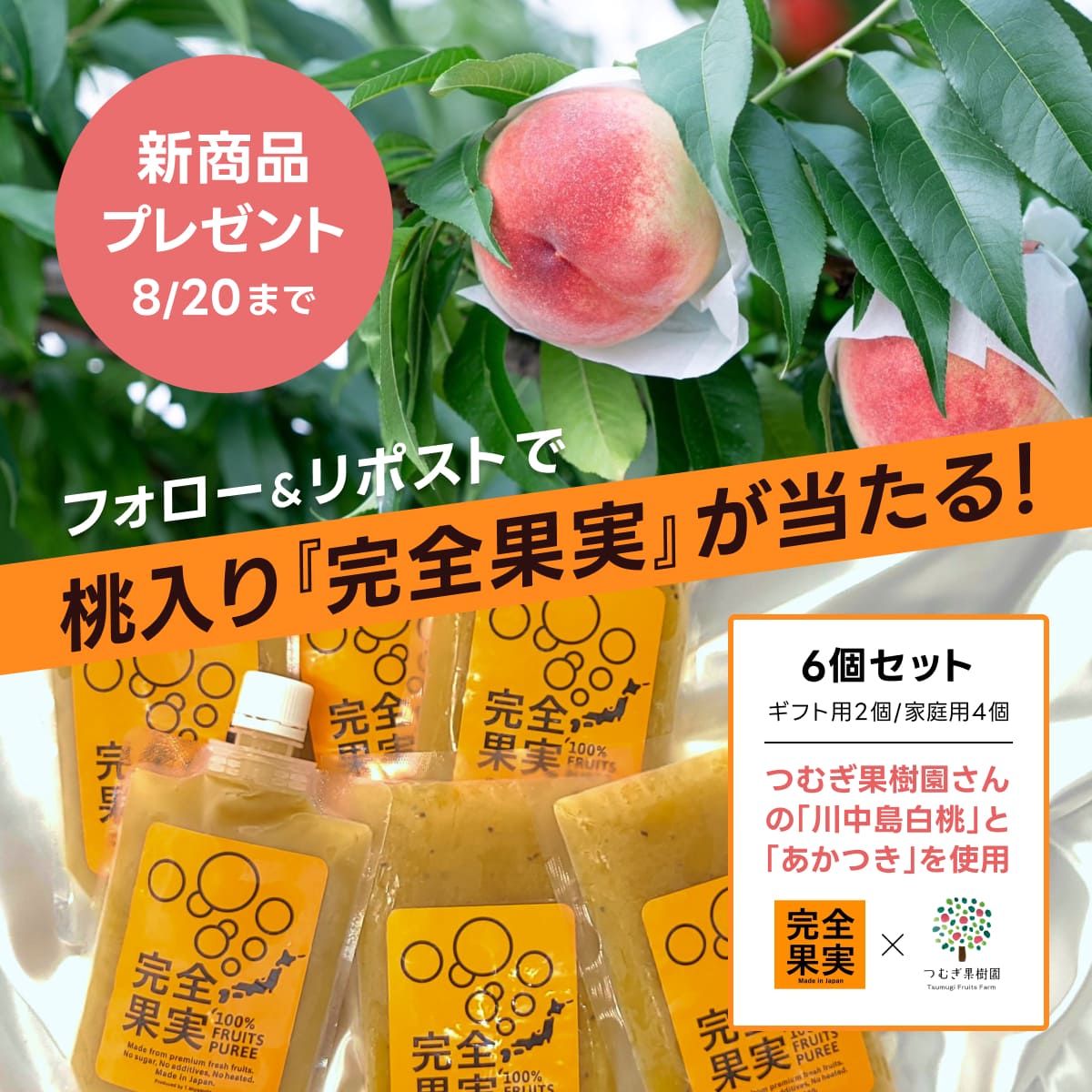 完全果実のプレゼント企画
