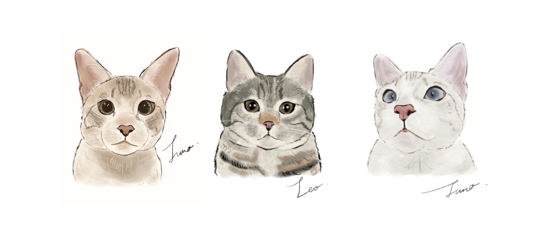 Cat Portrait Illustration始めました♫