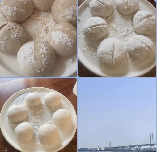 わんこパン教室