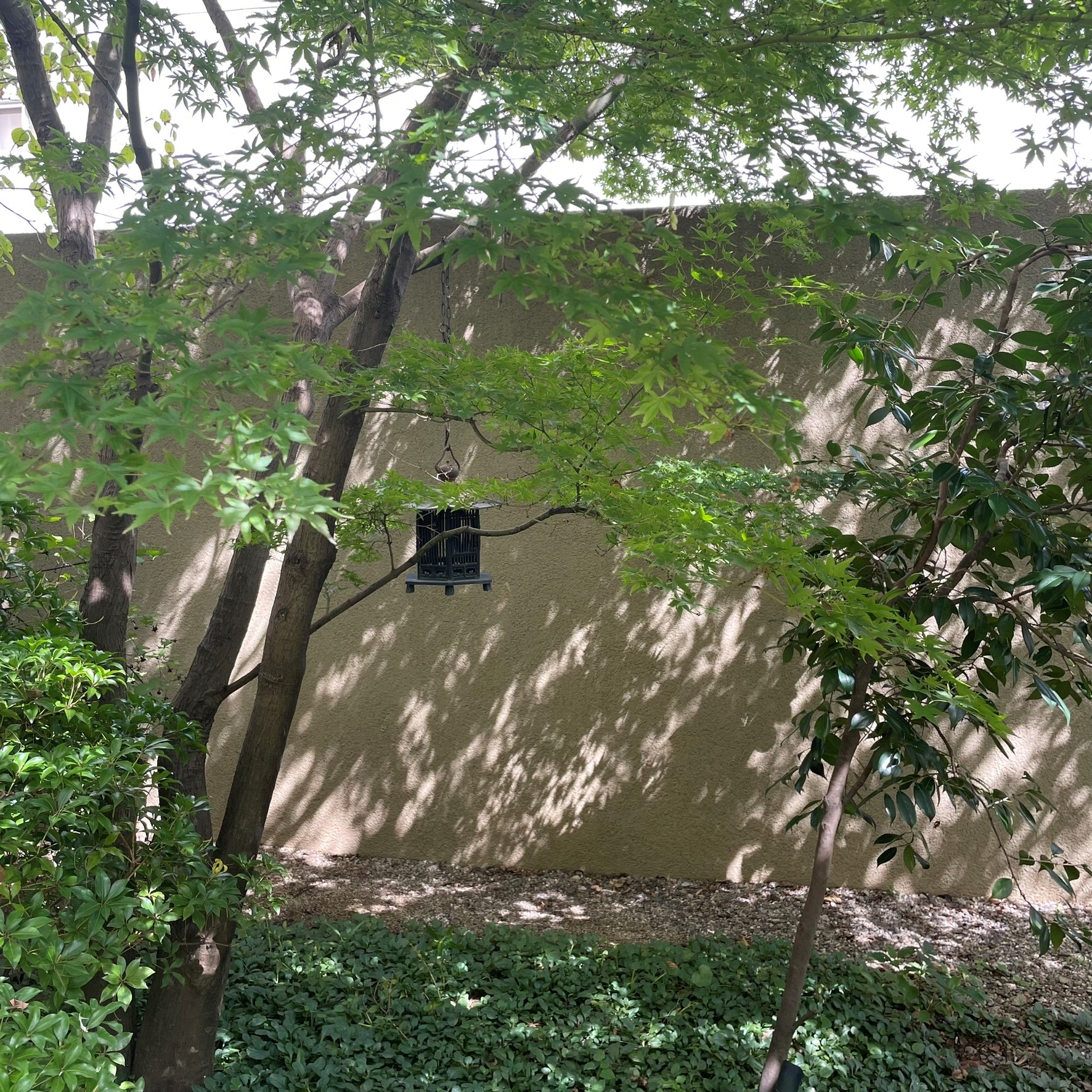 メンテナンスのお知らせ