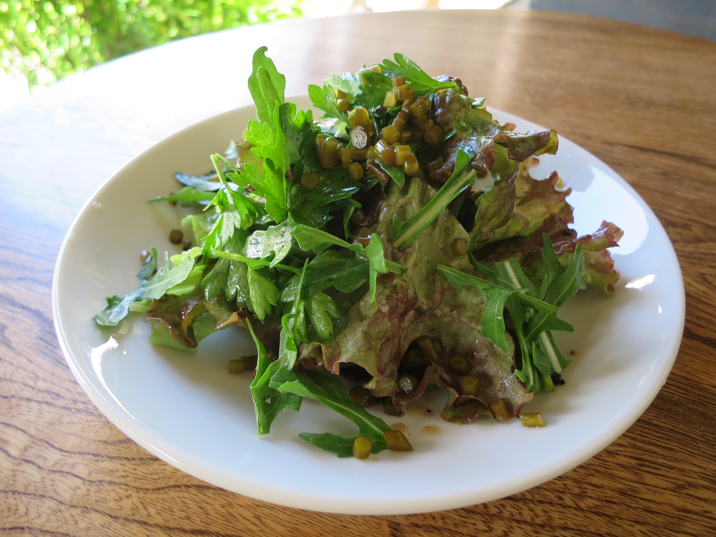 初夏のお野菜と、にんにくの芽スパイシーピクルスのサラダ