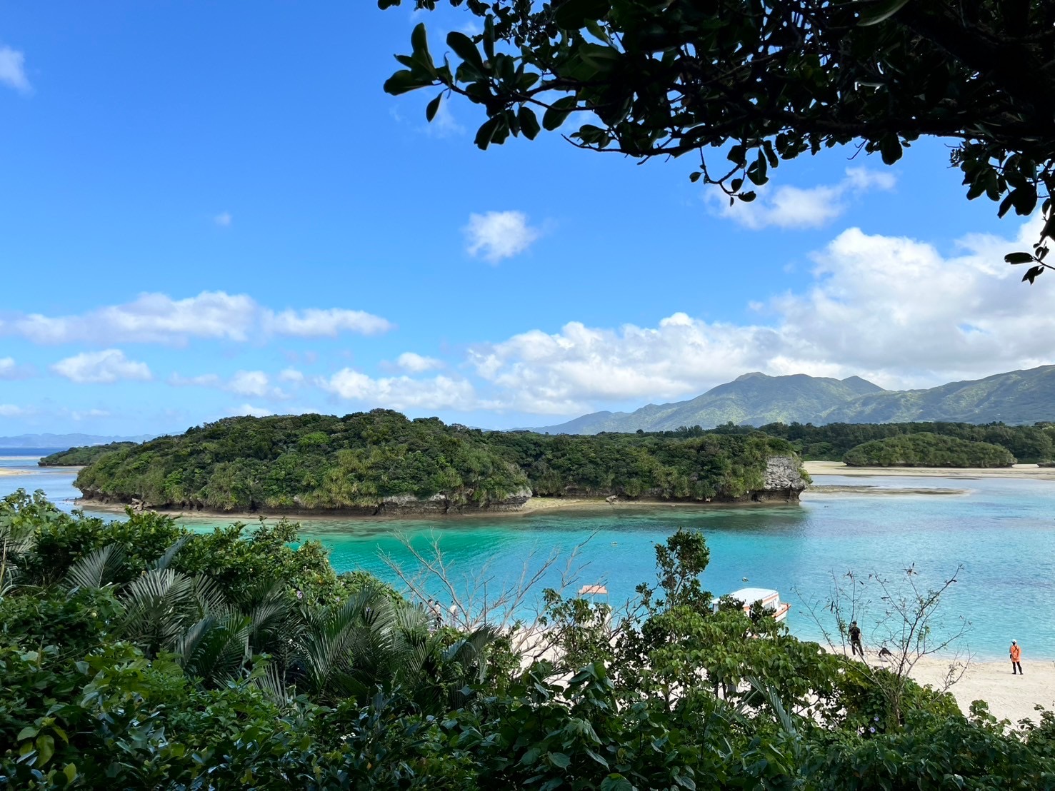 -Jewelry story:Think about the future of the Ocean
