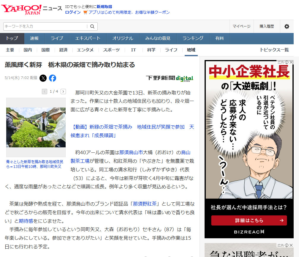2025年5月の新茶の摘み取りで様々なメディアに取り上げられました!