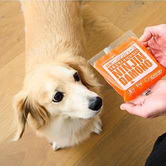 愛犬に水分補給を！飼い主も一緒に飲める「愛犬用」癒やしのニンジンジュースのご紹介