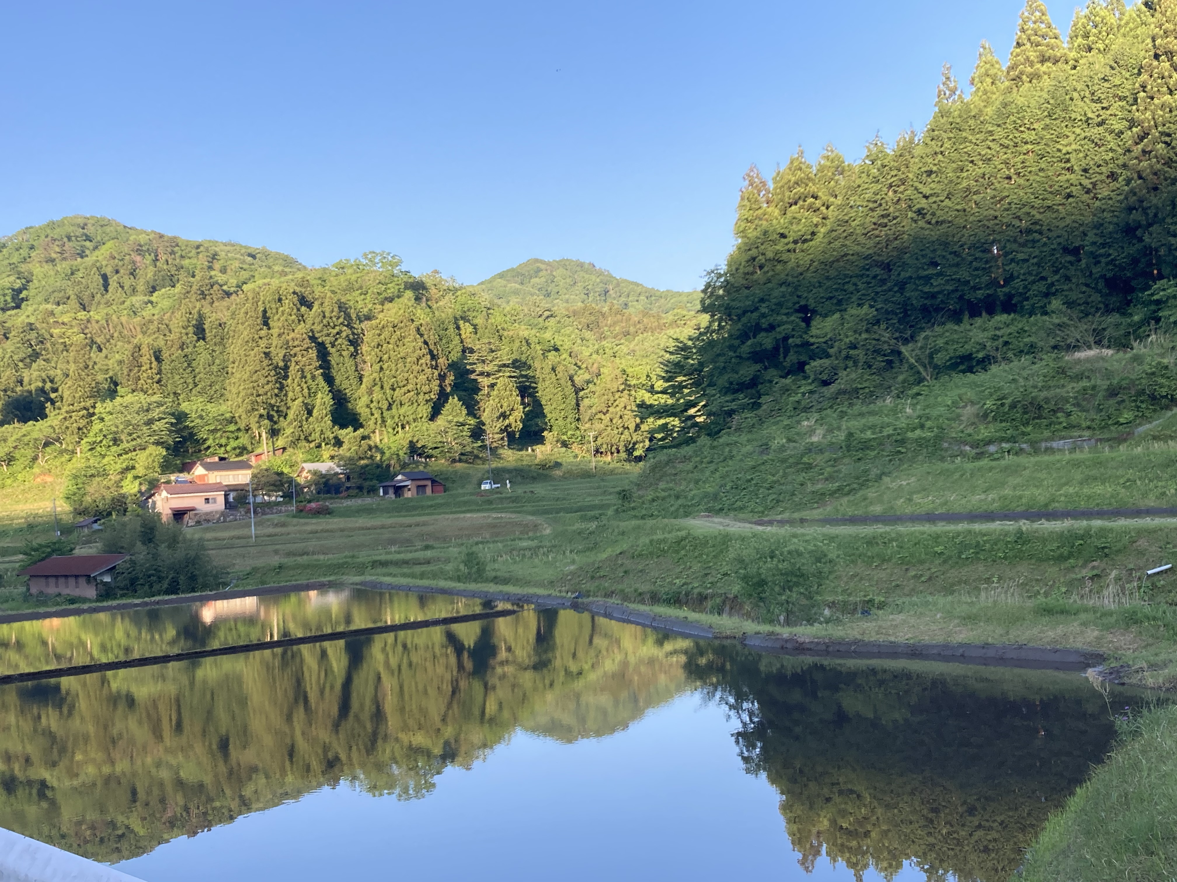 豆腐屋に嫁ぐ②