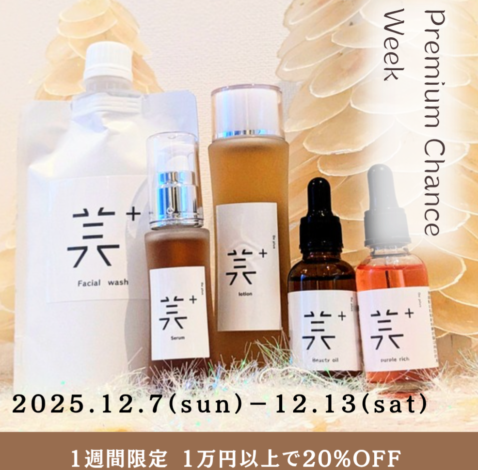 冬のキャンペーン 1週間期間限定20%OFF