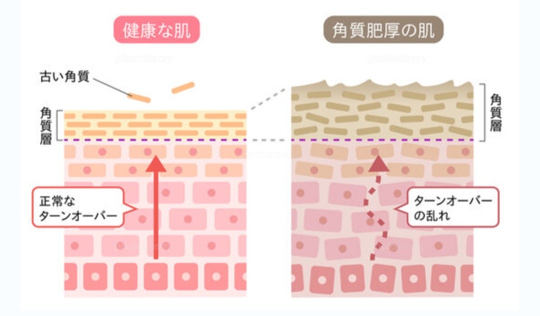 28日周期の真実