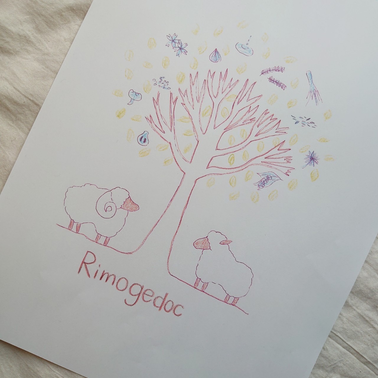 リモゲドックの羊たち 🐑