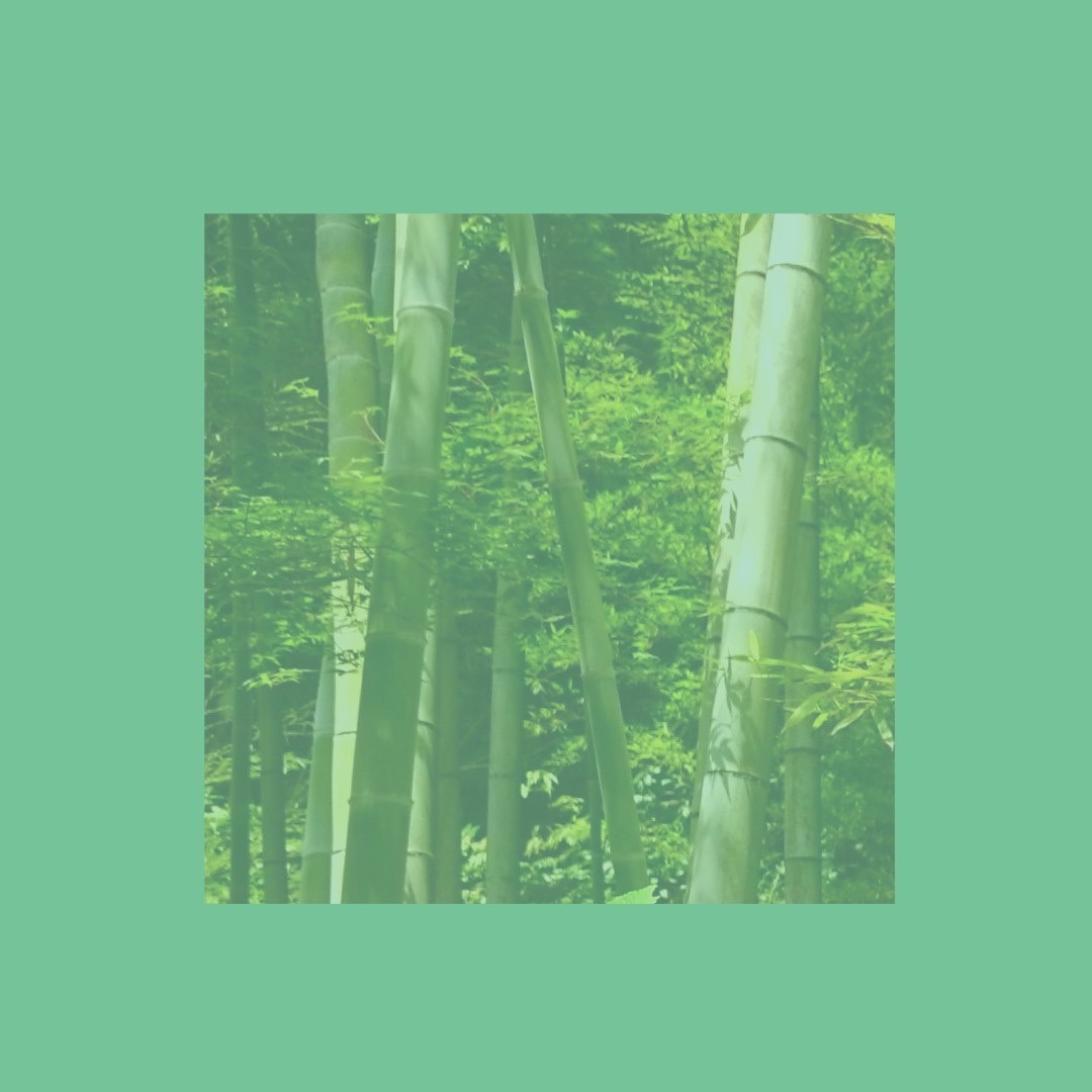 若 竹 色