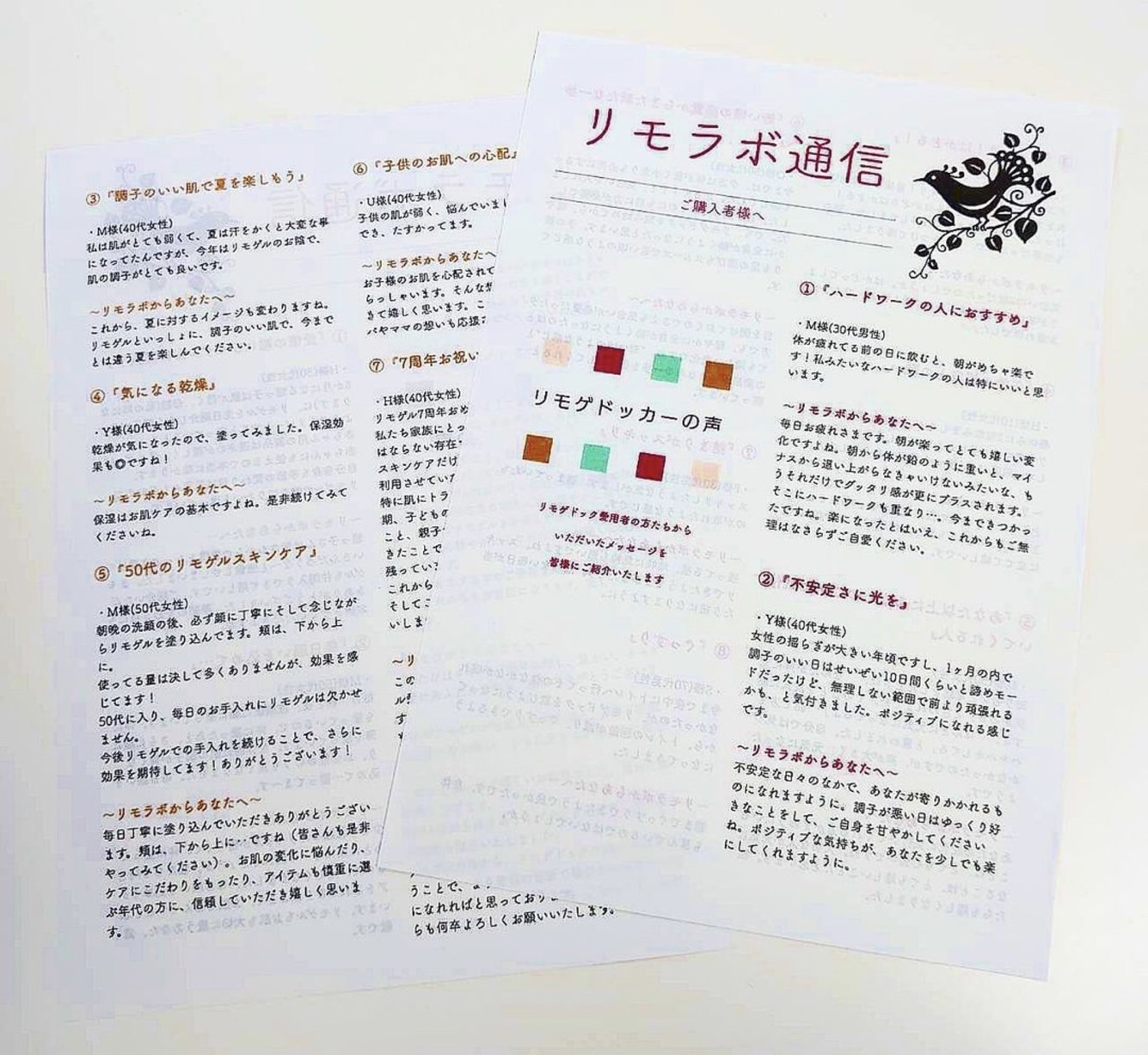 ＼リモラボ通信はじめました📝🐦／