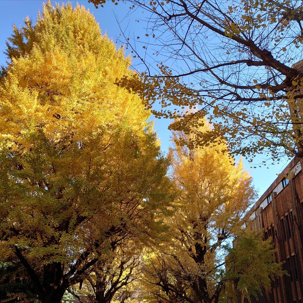 誰かにありがとう