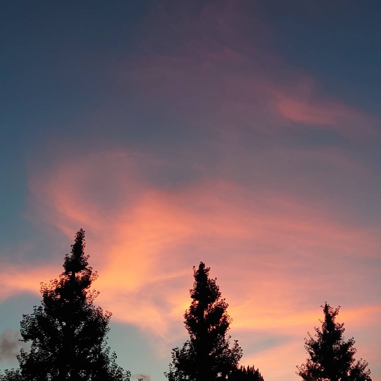 夕暮れに包まれて