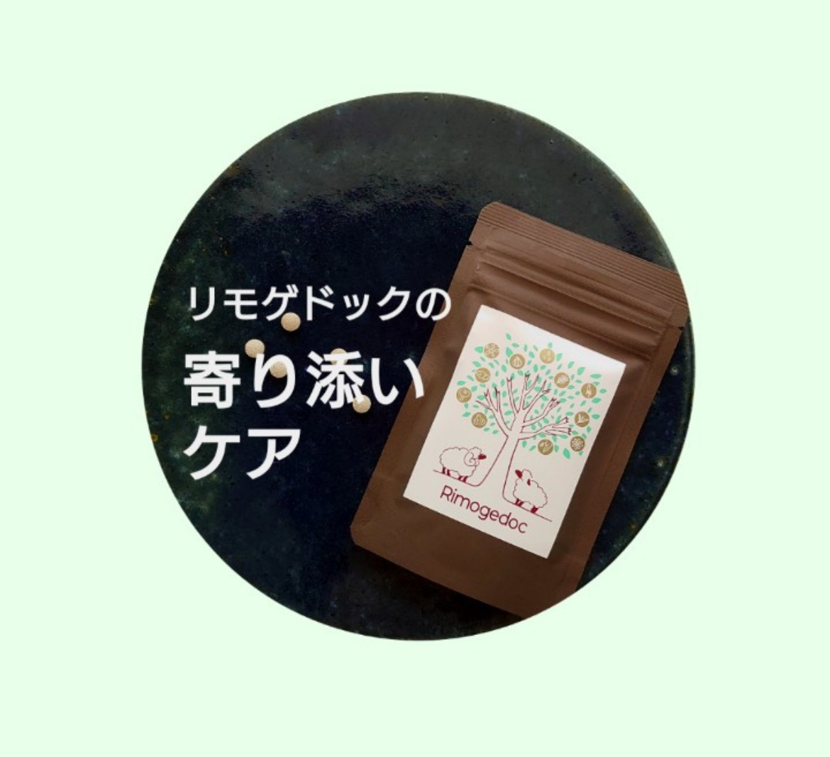 リモゲドックの寄り添いケア