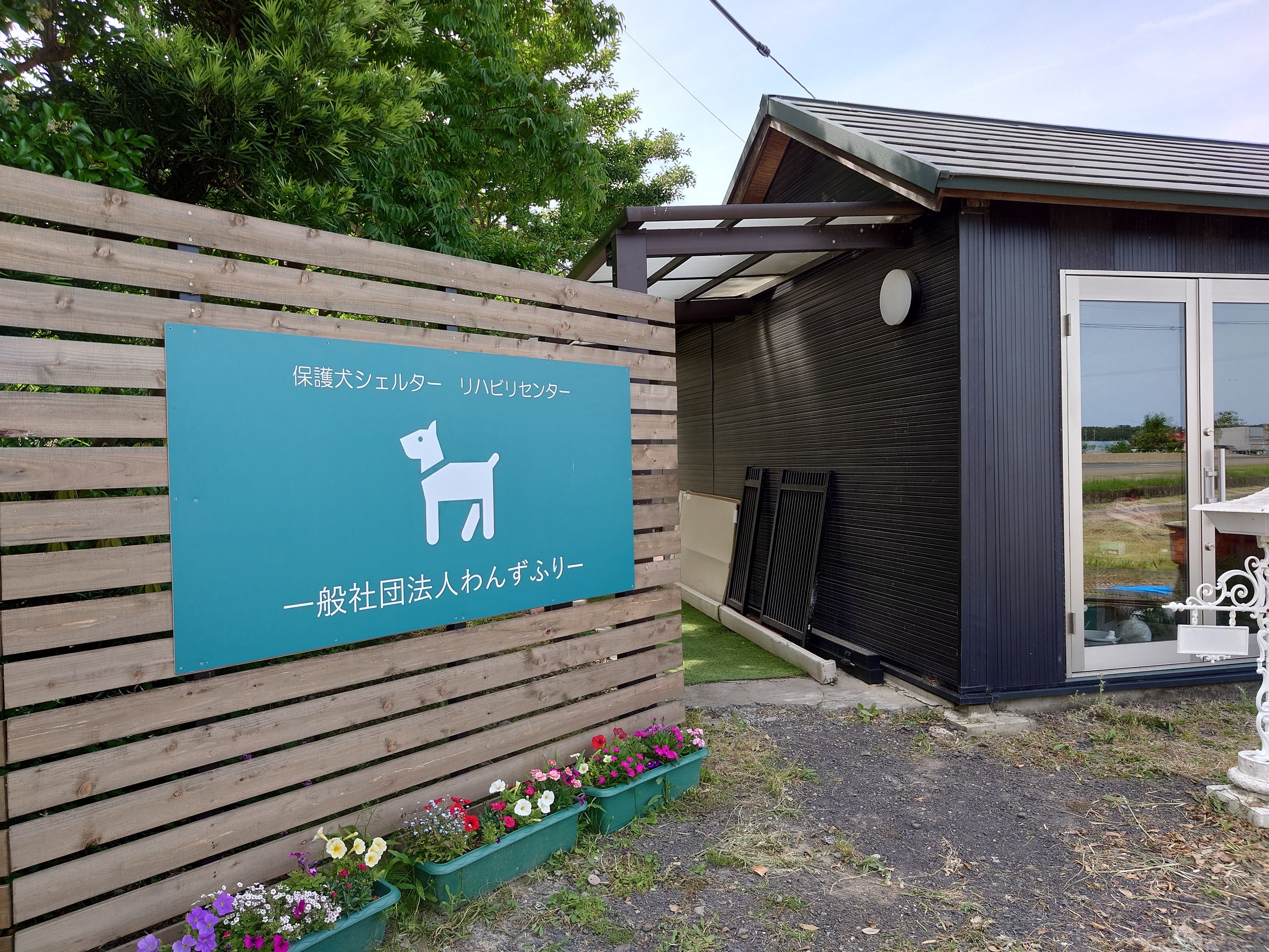 わんずふりーさんに訪問