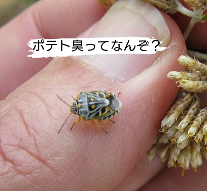 ポスト臭って⁉