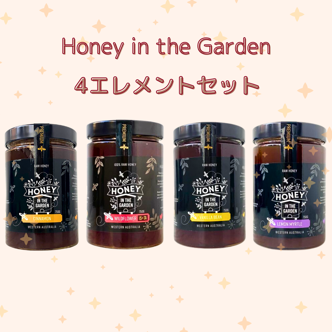 8月限定セット＆プレゼント🎁✨