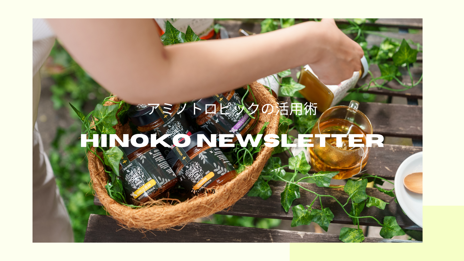 9月のＮews Letter＊アミノトロピックの活用術＊