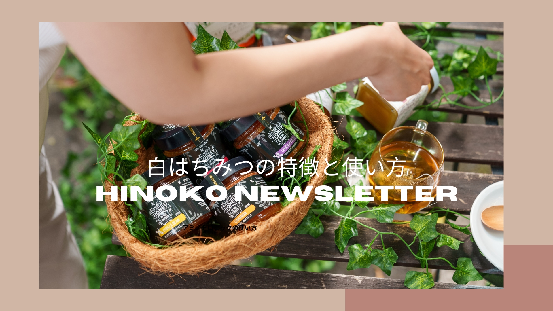 11月キャンペーンと蜂蜜ご試食のご案内