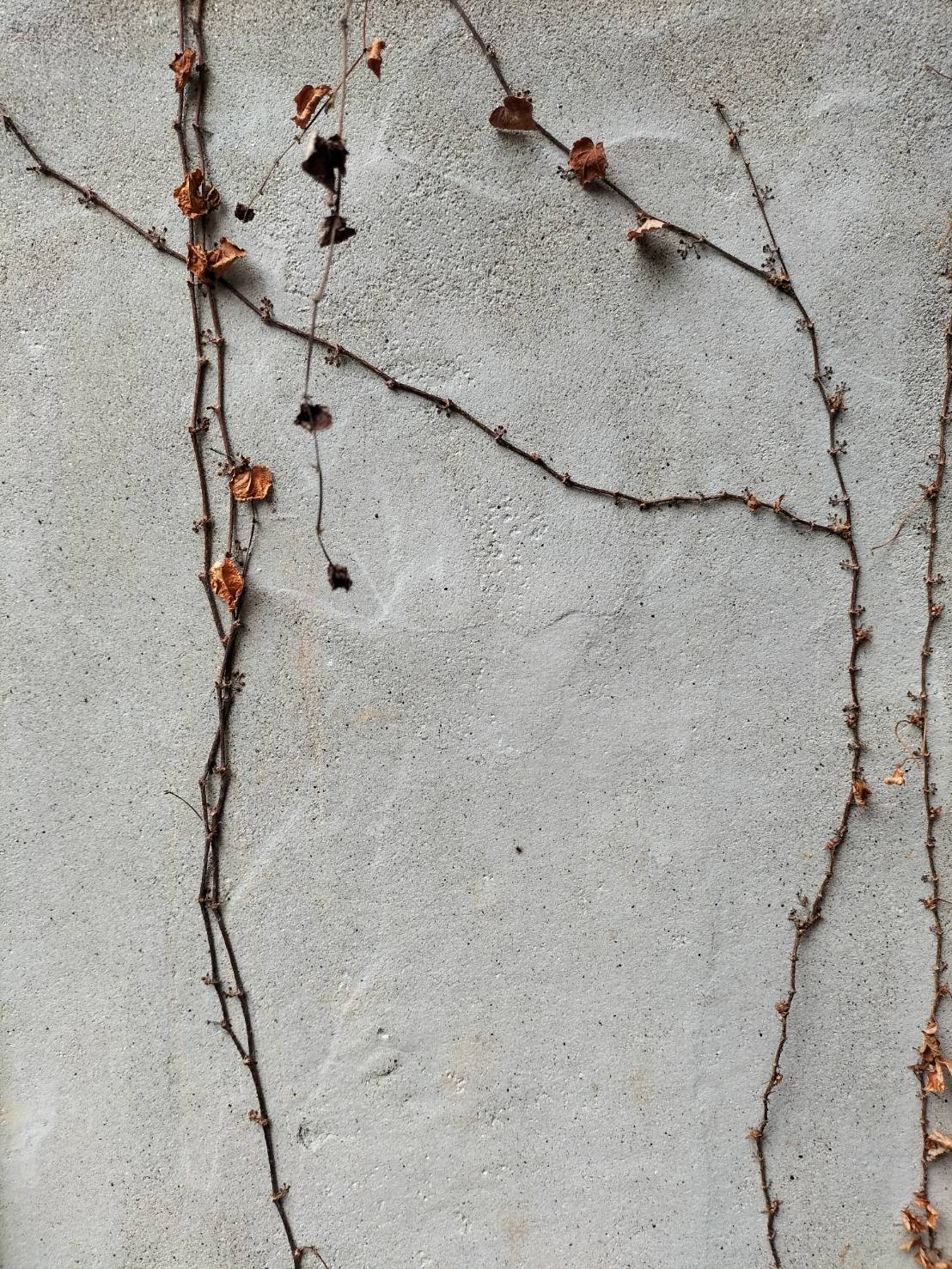 自主企画展000『白地図の蔵』