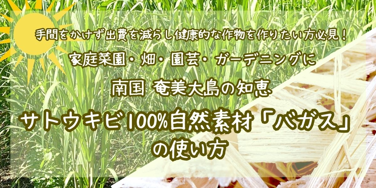 家庭菜園・畑・園芸・ガーデニングに！手間をかけず可能な限り出費を減らし健康的な作物を作る奄美の知恵