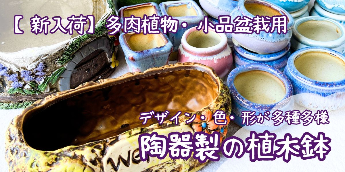 【新入荷のご報告】　多肉植物＆小品盆栽用に使える　希少なデザイン・形・色の陶器製植木鉢