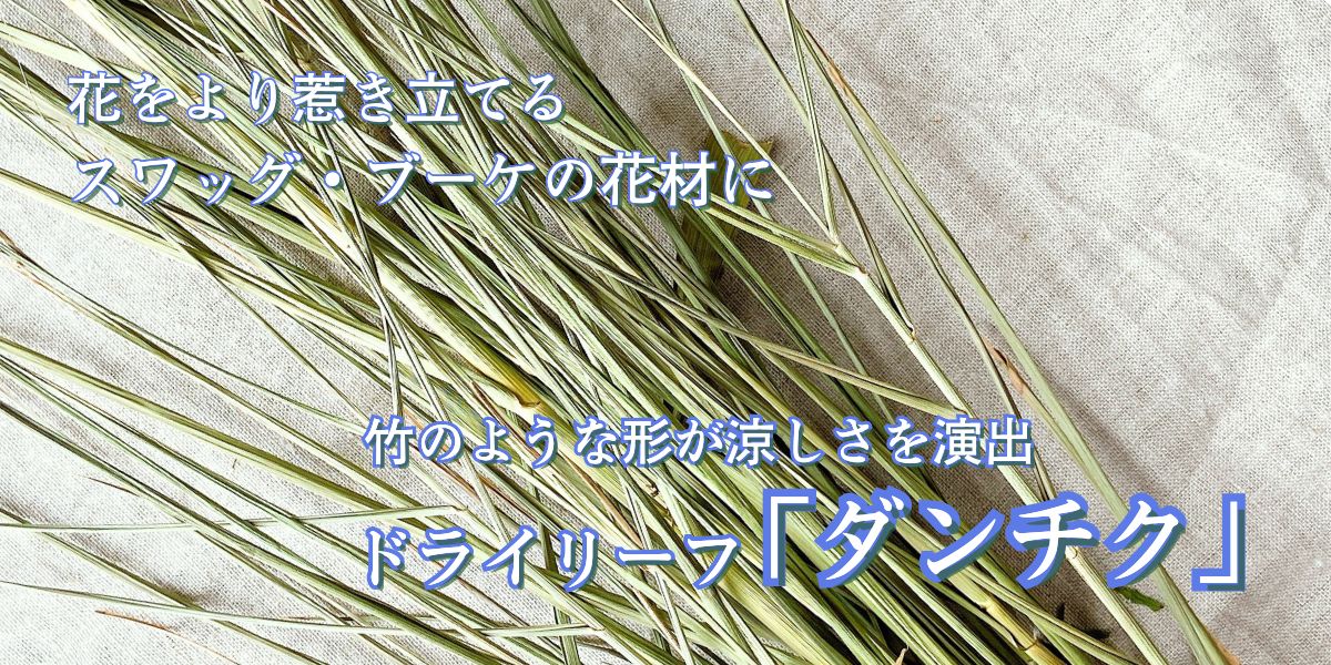 涼しさを彩る竹のような美しさ　スワッグやブーケに　ハンドメイド花材：ドライリーフ「ダンチク」販売中！