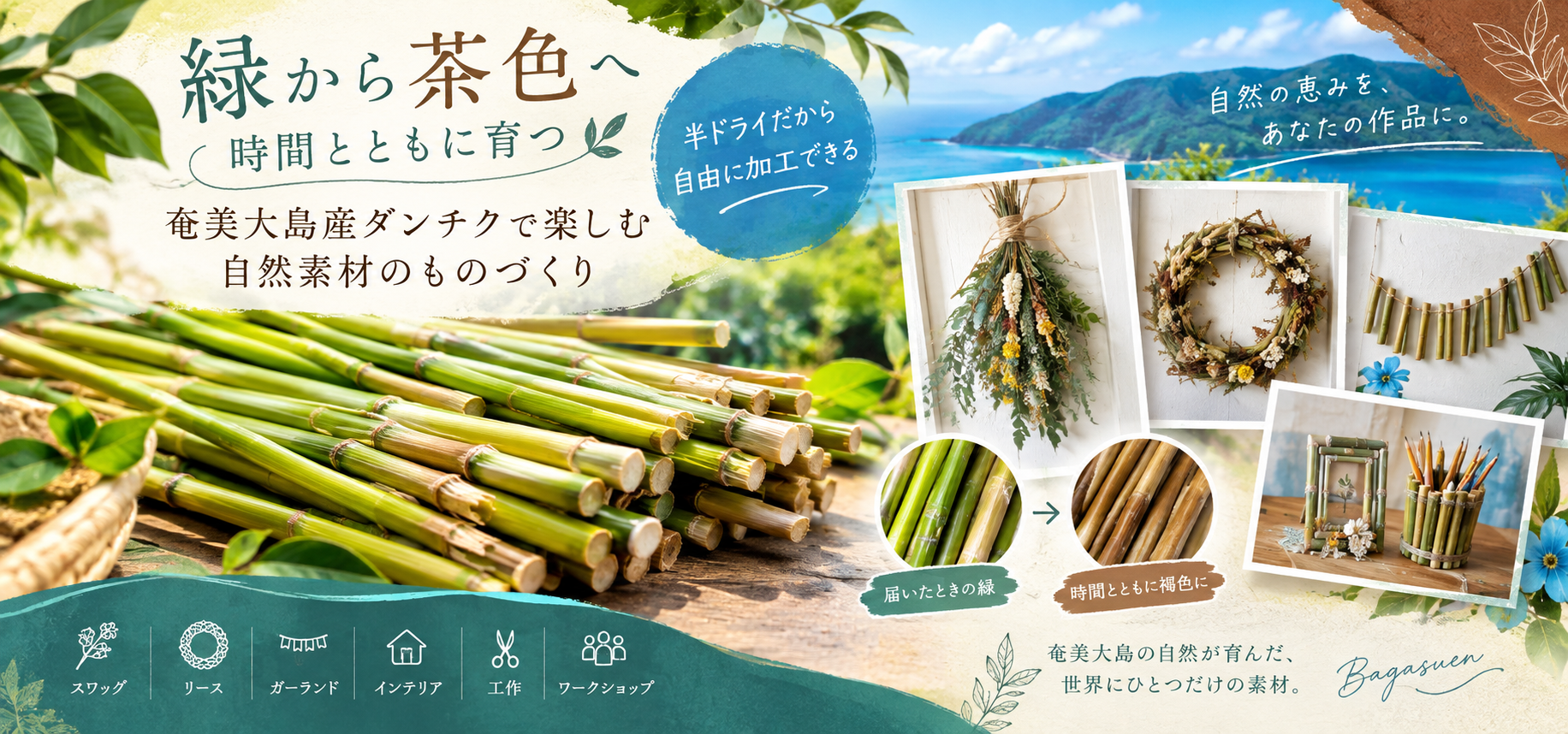 緑から茶色へ　時間とともに育つ　奄美大島産ダンチクで楽しむ自然素材のものづくり